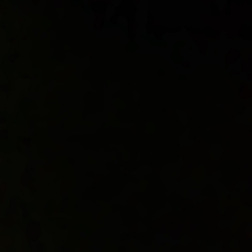 Meet your Posher, Madalyn